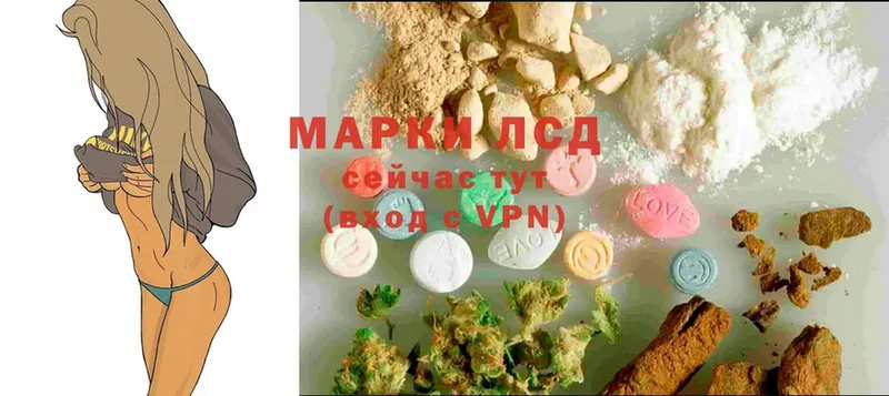 ЛСД экстази ecstasy  Княгинино 